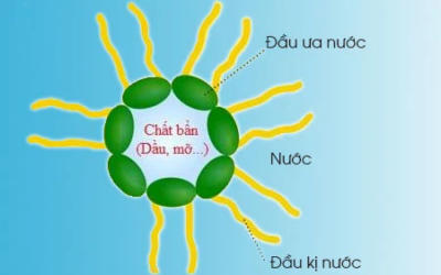 Surfactant – chất hoạt động bề mặt